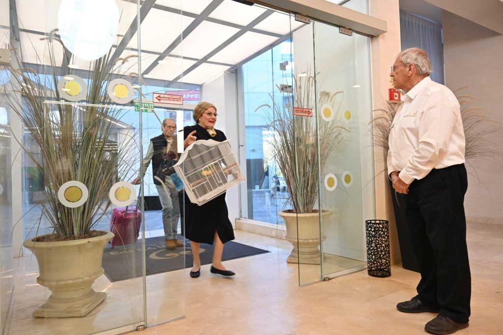 סבתה זפטה עוברת לבית גיל הזהב